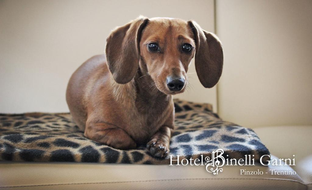 Hotel Binelli Pinzolo Luaran gambar